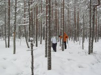 raba juba lähemal