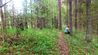 Selle pikliku künka peal soo vahel