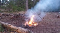 lihavardad kuuseokstest juba ootavad
