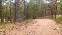 liivakünkalt parkla poole