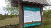 seletus