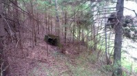 rake