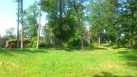 Linnus