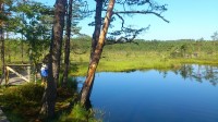 Tolkuse raba järv