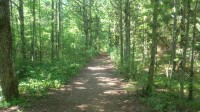 Uulu park
