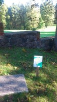Disc-golf