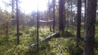 Mõnes kohas olid lindid sohu sattumisel ees