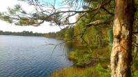 Vaade järvele ja topsile