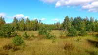 Venemäe puhkekoht