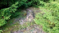 Aare oli miski betoonist asja urus