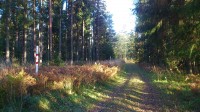 2014-09-27 17.38.07