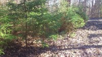 2015-04-06 12.04.38