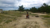 2015-07-09 17.19.42