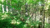 matka algus paistis raske