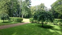 2015-08-01 13.45.56