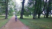 2015-08-01 13.48.26