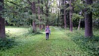 ilus alle tee viis mõisast Nõo poole
