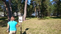 sellistel tahvlitel oli palju infot