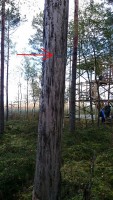2015-09-27 10.56.46