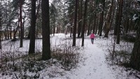 2016-02-20 12.59.33