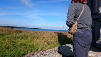 Vaatasime ka aarde "Mere peale metsavahiks " algust aga ei saanuud mõhkugi aru