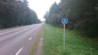 kurja juur