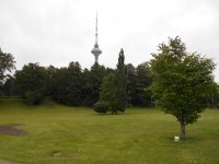 vaade teletornile botaanikaaiast