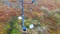 Pühajärve aarde seisund minu leides