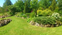 DSC_0311