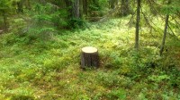 Aardepakk
