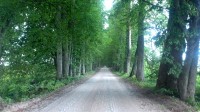 allee teel järveni
