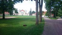 Kiltsi mõis
