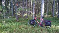 Mina olin eelmisel õhtul igatahes valmis ja katsetasin metsas seentega kottide mugavust