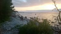 Kolviku nina all väljume mereäärselt rajalt