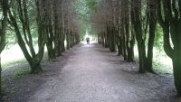 pargi allee