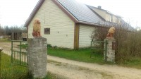 Lõvid