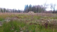 Kivi lagedal, peidukohti mitte kuskil