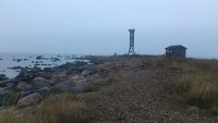 neeme tipp linnuvaatlejate putkaga