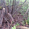 kaevandusekraavi