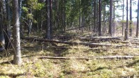 karjase4