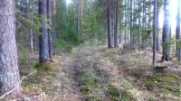 karjase5