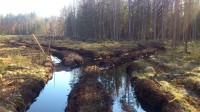 Sel soojal talvel tekkisid sellised teed metsatraktoritest. Siit sain ikka üle
