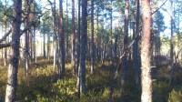 muraka_raba_11