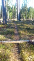 Raja näide