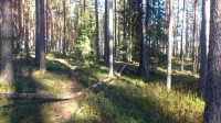 Jälle ilus rada