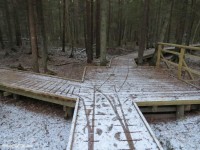 Lühike rada, pikem rada on metsateel