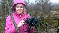 sasipesa käes