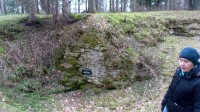 tamsalu_aare1